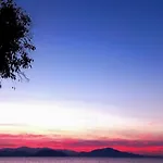 Rozy Daire Pefki (Evia)