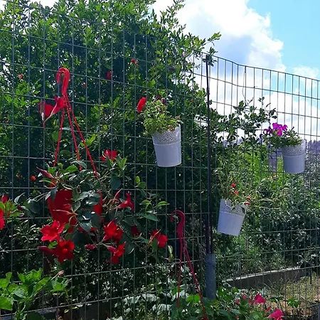 Rozy Appartamento Pefki (Evia)