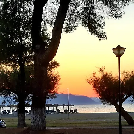 Rozy Appartamento Pefki (Evia)